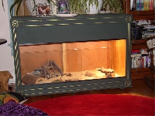 Archie and his cage