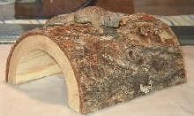 mosca log