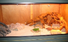 Mosca's new tank