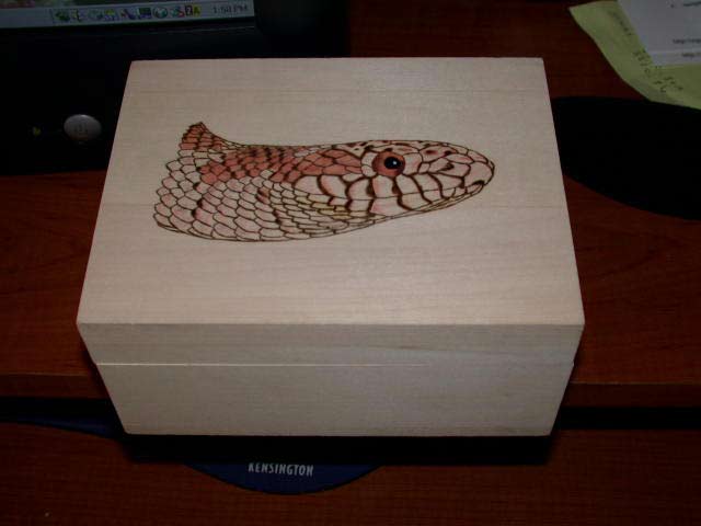 brooksi box