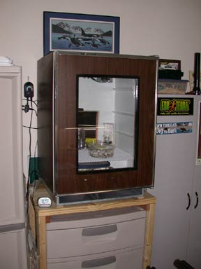 Incubator front