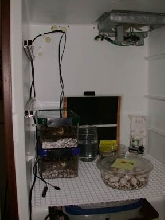 Incubator inside