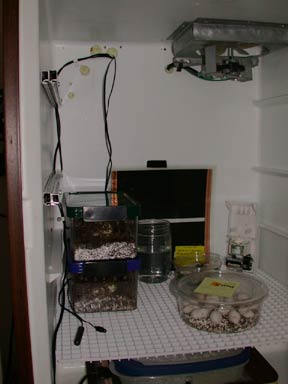 Incubator inside