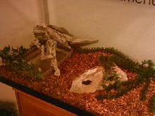 hermans setup