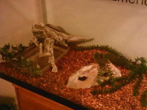 hermans setup