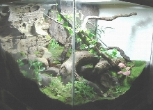 Full LefT Side