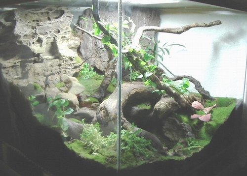 Full LefT Side