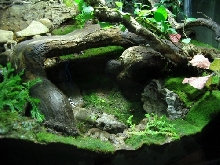 Lower FronT SidE