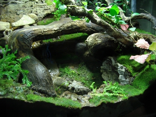 Lower FronT SidE