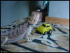Jackie and her car