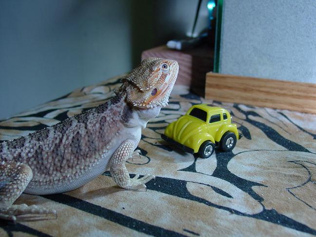 Jackie and her car