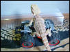 Puff and his Lego Car