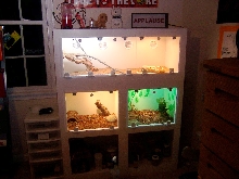 Andy's Cage