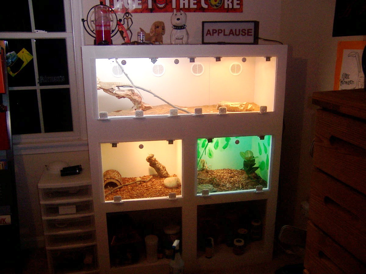 Andy's Cage