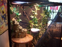 kermits cage