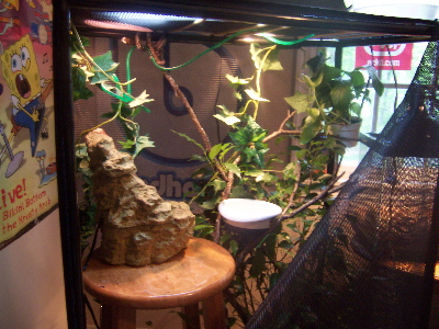 kermits cage