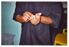 hatchlings 2