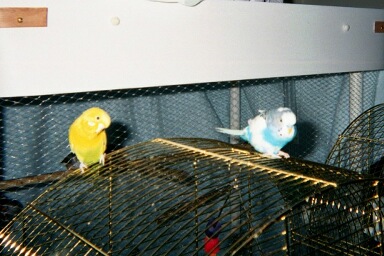 Christy and Sparky