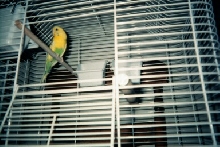 Christy