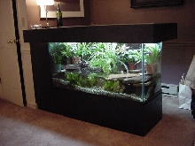 Caiman Bar
