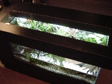 Top of tank