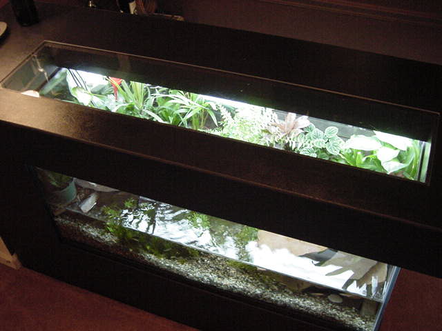 Top of tank