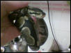 she face nice?