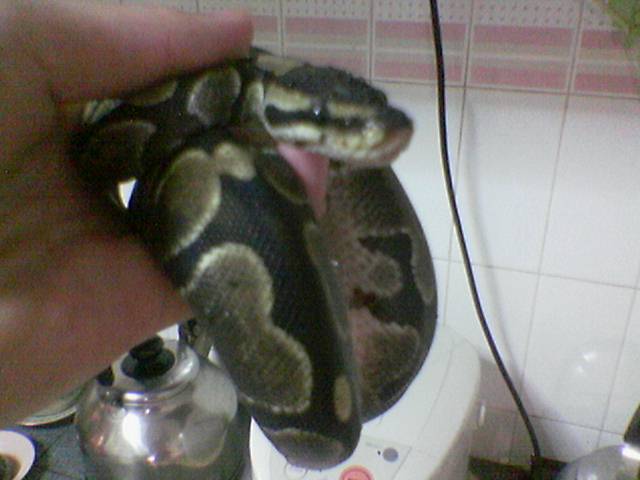 she face nice?