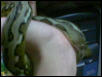 Tiger Retic can sell how much now??? higher price???