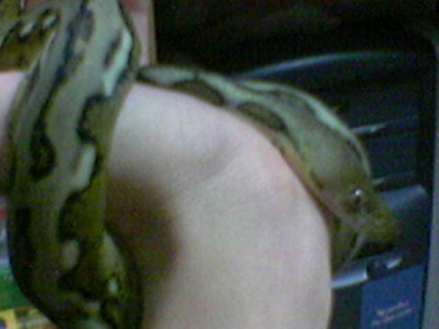Tiger Retic can sell how much now??? higher price???