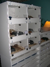 New Breeder Cage