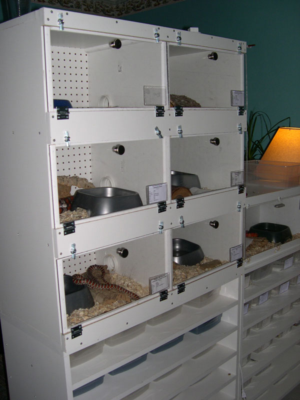 New Breeder Cage