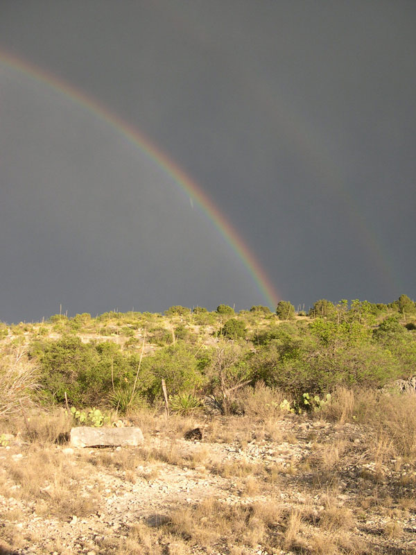 Rainbow