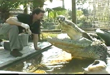 utan wants a kiss