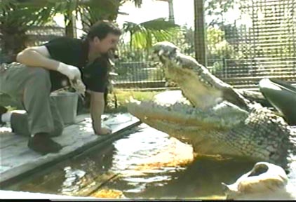 utan wants a kiss