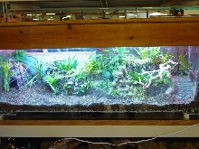 jays vivarium