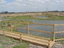 Nile crocodile Enclosure