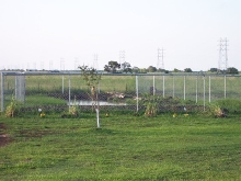 Nile Crocodile Enclosure