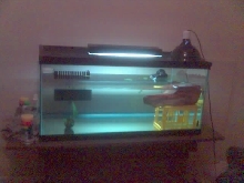 tank