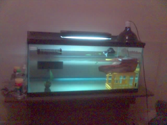 tank