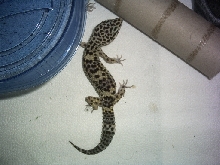 3rd pic
