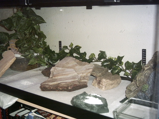 Yoda's Setup