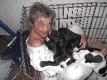 Renee's Playpen of Gentle Giants