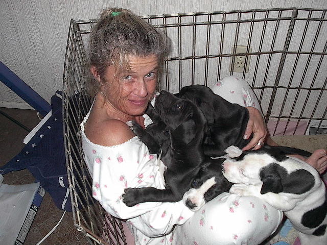 Renee's Playpen of Gentle Giants