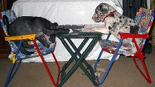 Pinky and Precious