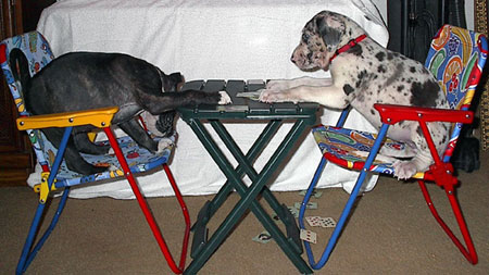 Pinky and Precious