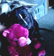 Rosie