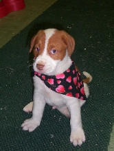 All Ready for Valentines Day!