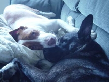 Sleepy Brothers