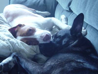 Sleepy Brothers